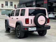 2021 Tank 300 Off-road 2.0T Conqueror — фото 13