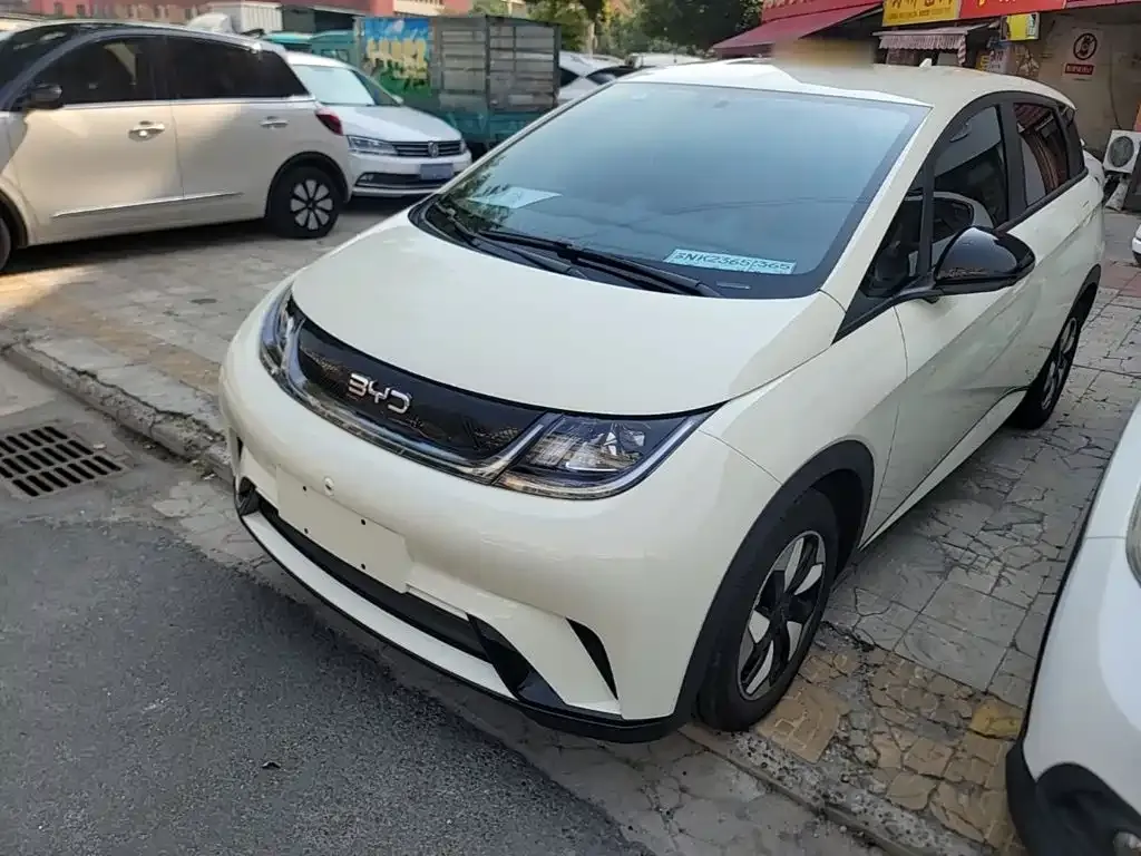 2025 BYD Dolphin 420km Freedom