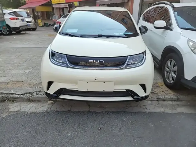 2025 BYD Dolphin 420km Freedom