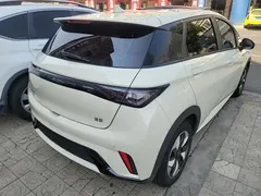 2025 BYD Dolphin 420km Freedom — фото 7