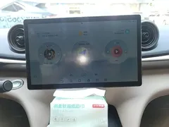 2025 BYD Dolphin 420km Freedom — фото 13