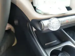 2025 BYD Dolphin 420km Freedom — фото 14
