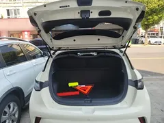 2025 BYD Dolphin 420km Freedom — фото 19