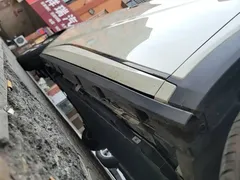 2025 BYD Dolphin 420km Freedom — фото 21