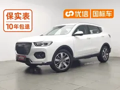 2021 Haval H6 1.5GDIT AT Champion, белый — фото 1
