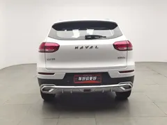 2021 Haval H6 1.5GDIT AT Champion, белый — фото 4