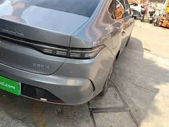 2024 BYD Destroyer 05 DM-i PHEV 55km Luxury — фото 24