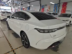 2023 BYD Destroyer 05 Champion DM-i PHEV 120KM Premium, белый — фото 5