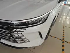 2023 BYD Destroyer 05 Champion DM-i PHEV 120KM Premium, белый — фото 24