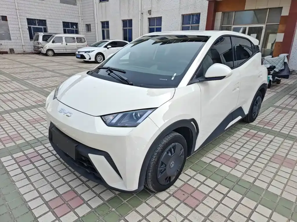 2024 BYD Seagull Honor 305km Vitality