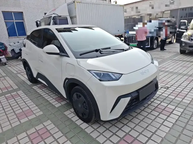 2024 BYD Seagull Honor 305km Vitality