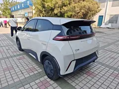 2024 BYD Seagull Honor 305km Vitality, белый — фото 5