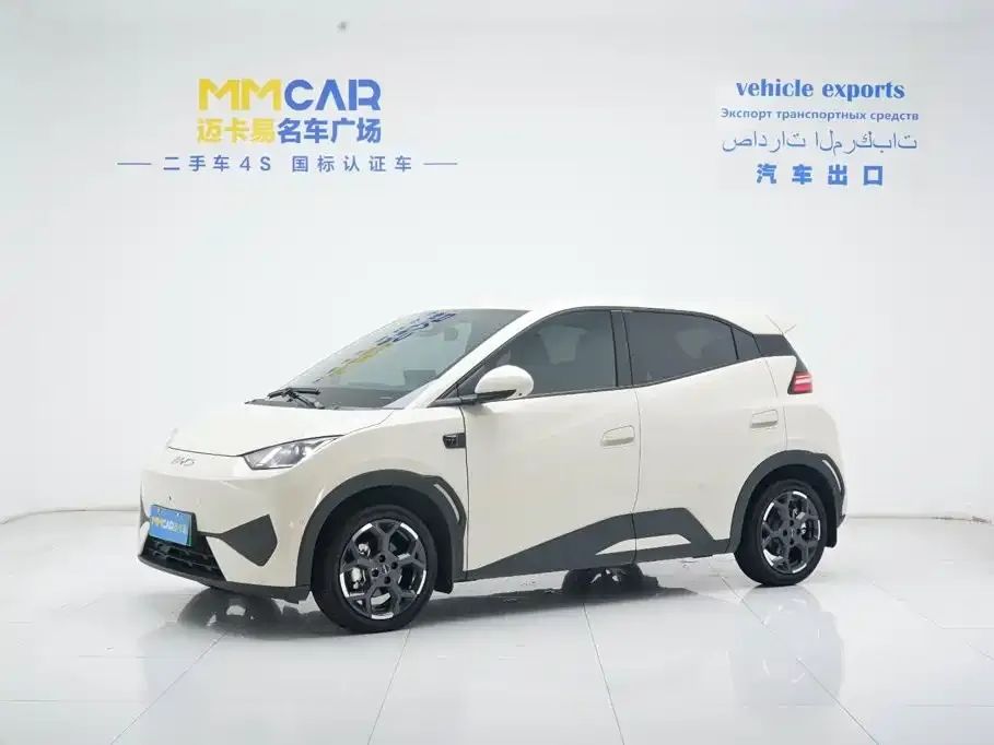2025 BYD Seagull 305km Freedom