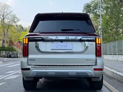 2022 Tank 500 3.0T High-end Custom 5-seat — фото 4