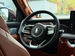 2022 Tank 500 3.0T High-end Custom 5-seat — фото 12