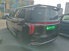 2024 Hongqi HQ9 2.0T PHEV 4WD Business — фото 5