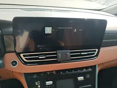 2024 Hongqi HQ9 2.0T PHEV 4WD Business — фото 13