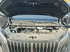 2024 Hongqi HQ9 2.0T PHEV 4WD Business — фото 20