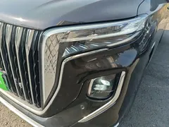 2024 Hongqi HQ9 2.0T PHEV 4WD Business — фото 24