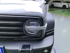 2021 Tank 300 Off-road 2.0T Challenger — фото 5