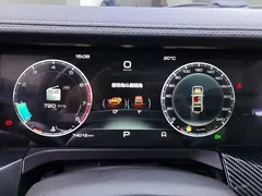 2021 Tank 300 Off-road 2.0T Challenger — фото 14