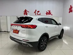 2023 Haval H6 1.5T AT Guochao Urban, белый — фото 4