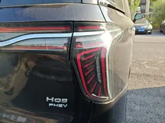 2024 Hongqi HQ9 2.0T PHEV 4WD Business — фото 8