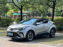 2021 Toyota IZOA 2.0L Yichi — фото 1