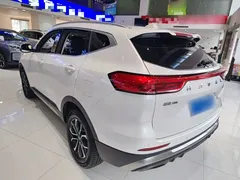 2021 Haval H6 1.5T AT Guochao Urban, белый — фото 5