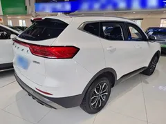 2021 Haval H6 1.5T AT Guochao Urban, белый — фото 7