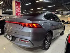 2024 BYD Qin PLUS Honor Edition EV 420km — фото 11