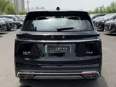 2024 Hongqi HS7 2.0T PHEV 4WD 6, чёрный — фото 13