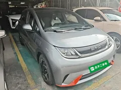 2021 BYD Dolphin 405km Fashion — фото 4