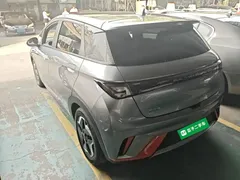 2021 BYD Dolphin 405km Fashion — фото 5