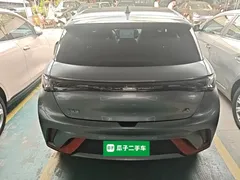 2021 BYD Dolphin 405km Fashion — фото 6