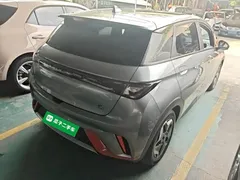 2021 BYD Dolphin 405km Fashion — фото 7