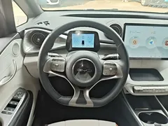 2021 BYD Dolphin 405km Fashion — фото 11