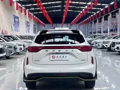 2022 Haval Chitu 1.5T, белый — фото 5