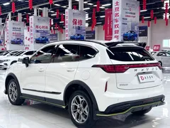 2022 Haval Chitu 1.5T, белый — фото 6