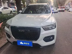 2020 Haval H6 2.0GDIT AT GT Luxury, белый — фото 2