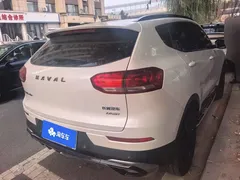 2020 Haval H6 2.0GDIT AT GT Luxury, белый — фото 3