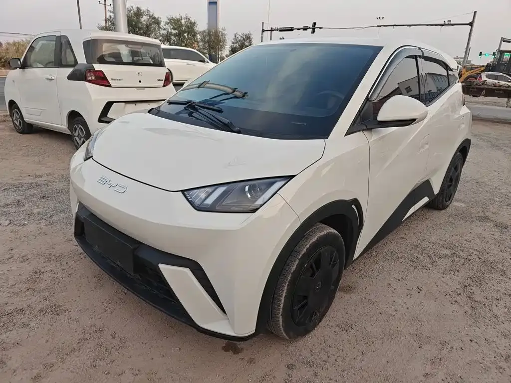 2023 BYD Seagull Vitality