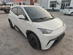 2023 BYD Seagull Vitality, белый — фото 8