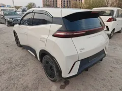 2023 BYD Seagull Vitality, белый — фото 13