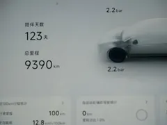 2026 Xpeng P7+ EV 615 Max Flagship — фото 8