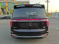 2024 Hongqi HQ9 2.0T PHEV 4WD Business — фото 6