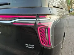 2024 Hongqi HQ9 2.0T PHEV 4WD Business — фото 8
