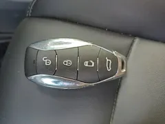 2024 Hongqi HQ9 2.0T PHEV 4WD Business — фото 9