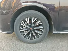 2024 Hongqi HQ9 2.0T PHEV 4WD Business — фото 23