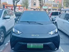 2025 BYD Seagull 405km Flying Smart Driving, чёрный — фото 2